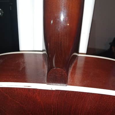 Silverton Sears Acoustic image 5