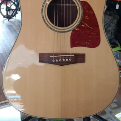 Ibanez Artwood Series AW40-NT Acoustic Guitar - Gorgeous “Vine of Life” Inlay image 2
