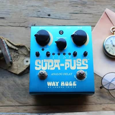 WAY HUGE WHE707 Supa-Puss Analog Delay image 1