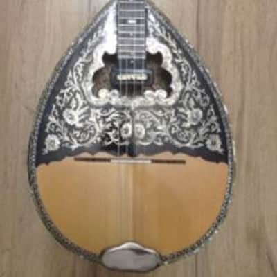 Greek Bouzouki 80s & Hardcase & pickup 300 backing track with pdf scores 8 string image 1