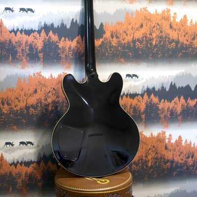 Epiphone BB King Lucille Korea + Gator Hard Case image 5