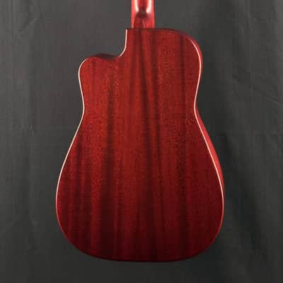 Beard Trailhead-E All Mahogany Roundneck Resonator with Cutaway in Scarlet image 5