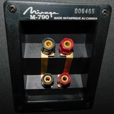 Mirage M-790 tower speakers image 10