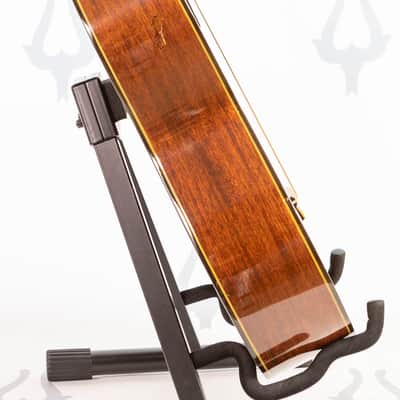 Daion GC 20 (Yamaki Built) image 13