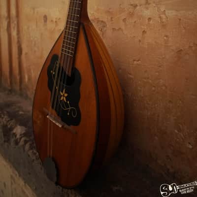 Amada Bowl Back Vintage Mandolin |  1950 image 7