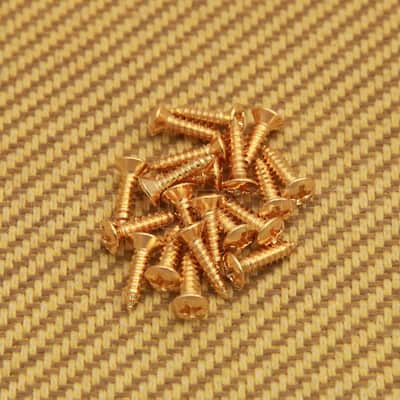 GS-0001-002 (20) Gold Finish Pickguard Screws For Fender Guitar/Bass