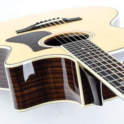 Eastman AC422CE image 9