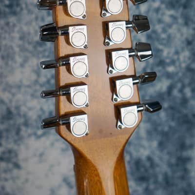 Ibanez EW2012 ASE/NT  Figured Ash 12 String Electro Acoustic image 8