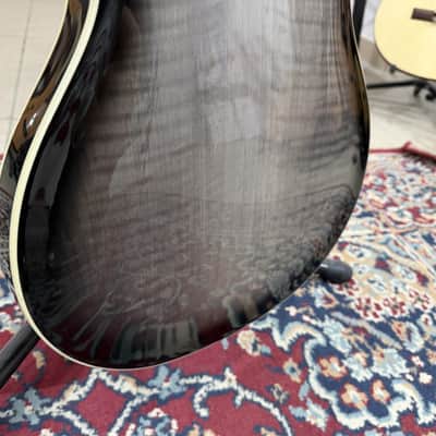 Immagine Paul Reed Smith PRS SE Hollowbody Standard Dog Hair Smokeburst - 11