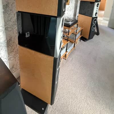 Dynaudio Evidence Master.  Awesome SOTA Flagship model image 6