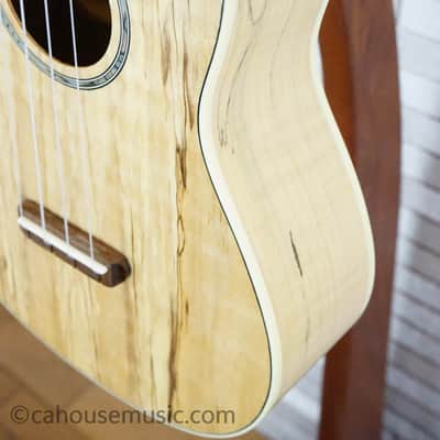 Fender Zuma Exotic Concert Ukulele - Natural Spalted Maple image 8
