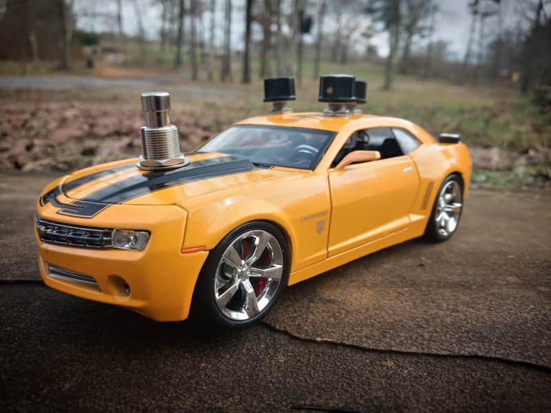 Bumblebee image 1