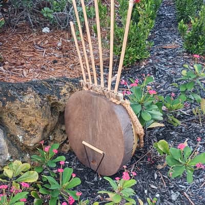 African-style pluriarc (compound musical bow): Extra large image 2