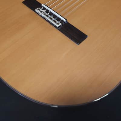 New Alhambra 4P Solid Top Classical Nylon String Guitar Made in Spain Logo'd Gig Bag image 7
