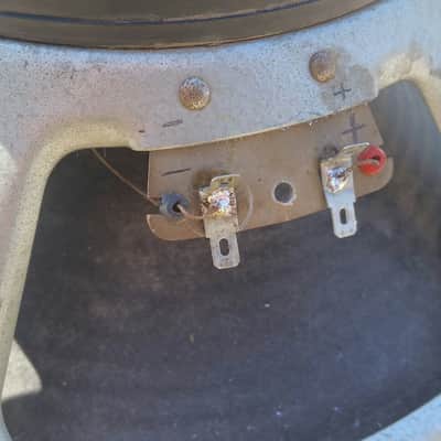 Blackback Celestion Speaker G12M 55hz image 5