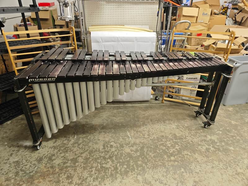 Immagine Musser 5 Octave Marimba - 1