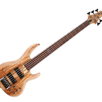 ESP LTD B-205SM 5-String Bass Guitar - Natural Satin image 3