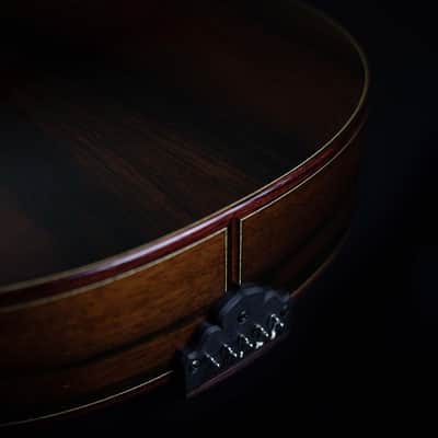 Antonio Huggler 10-String Mandolin | Brazil image 5