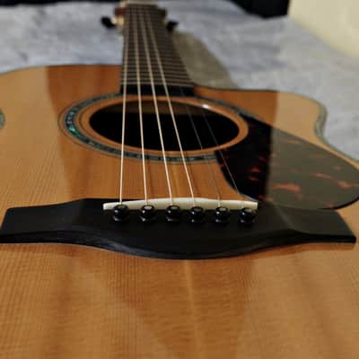 Kathy Wingert Model EVC - (Brazilian RW) image 20
