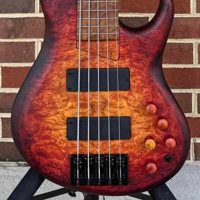 MTD 535-24, 2026 Model, Dark Cherry Sunburst, Maple Burl Top, Northern Ash Body, Ash Neck, Roasted Birdseye Maple Fretboard, Matching Knobs, Matching Backplates, MTD World Logo, Custom Bartolini Pickups & Preamp, TKL Deluxe Gig Bag image 2