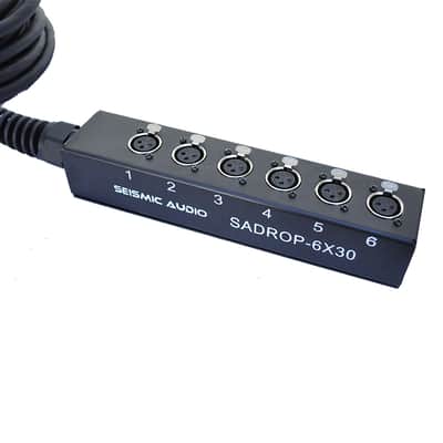 Seismic Audio 6 Channel Drop Snake Cable - 30 Foot Pro Audio Sub Snake imagen 2