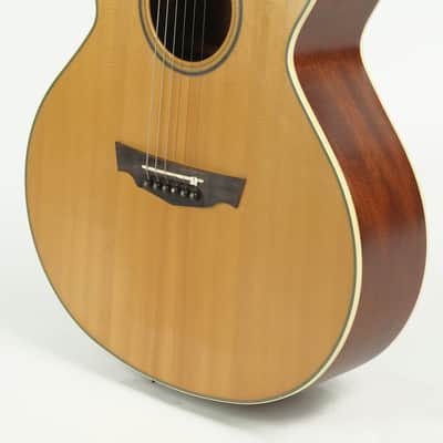 Parkwood Acoustic Owned by Greg Howe image 10