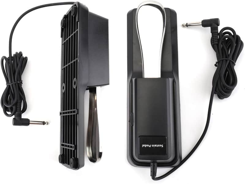 Breitenbach Sustain Pedal with Dual Polarity image 1