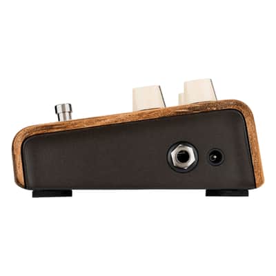 Mint LR Baggs Align Series Session Acoustic Saturation/Compressor/EQ Guitar Effects Pedal image 5