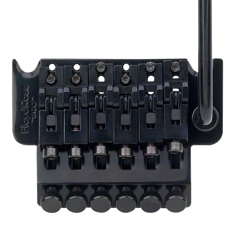 Genuine Floyd Rose 1000 Series Pro Tremolo, Black FRTP2000 image 1