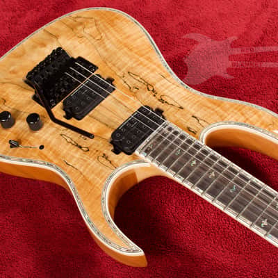 B.C. Rich Shredzilla Prophecy Archtop with Floyd Rose Spalted Maple image 7