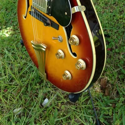 Samick Greg Bennett Royale Series: RL5 guitar image 5