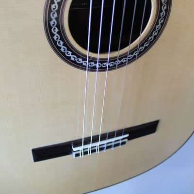 Brand New Cordoba C10 Spruce Top Classical Guitar image 5