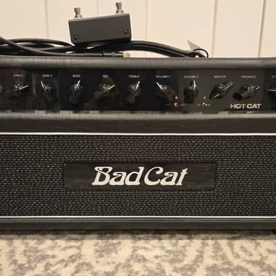 Bad Cat Hot Cat 45 image 2