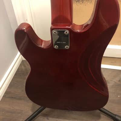 ampeg little stud GEB 101 image 4