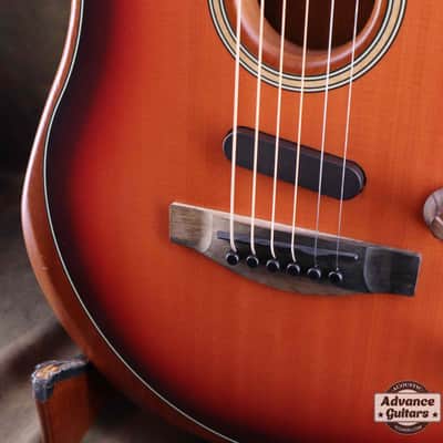 American Acoustasonic Stratocaster image 14