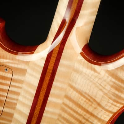 Alembic Further 6 Buckeye Burl - Resin Top image 14