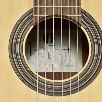 Alhambra LAQANT College 2 - Classic Guitar image 6
