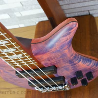 Spector Euro 4 RST - Sundown Glow image 10