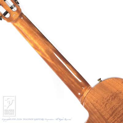 CORDOBA STAGE GUITAR (TRADITIONAL CD) image 6