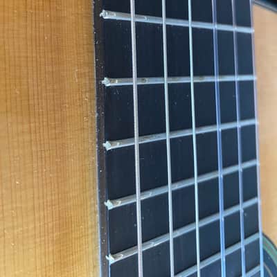 2023 Stefan Nitschke "Vicente Arias" SP/CY Classical Guitar image 9