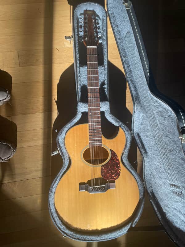 Washburn 12string, Woodstock edition, acoustic/electric, Birds Eye