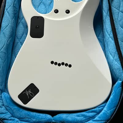 2019 Caparison Dellinger JSM Joel Stroetzel Signature image 13