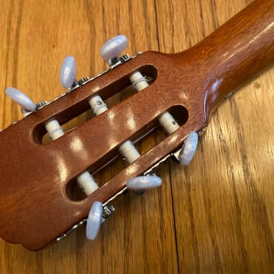 1978 Giannini AWN-21 - Natural Brazilian Rosewood/Jacaranda image 10