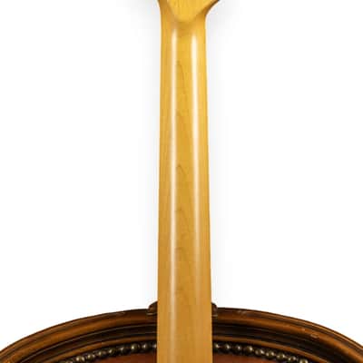 Woodstock Old Boy S 3 Tone Sunburst RW Fingerboard HSS image 6