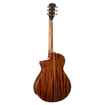 CORT MODERNBURGUNDY Masterpiece Series Dual Side Soundhole Acoustic/Electric Guitar image 2