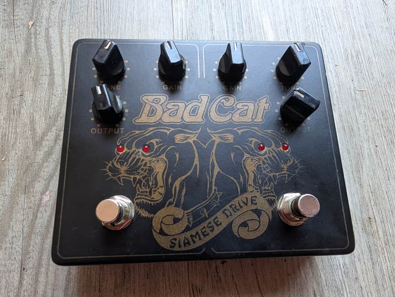Bad Cat Siamese Drive V1 2014 - 2020 - Black | Reverb
