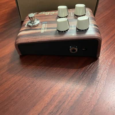 LR Baggs Align Reverb 2010s - Natural image 2