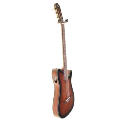 Ibanez FRH10N-BSF Electro-Acoustic Guitar, Brown Stained Flat image 4