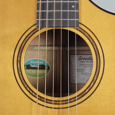 Breedlove Performer Pro Dreadnought Concerto CE - Aged Toner With OHSC Free Shipping image 10