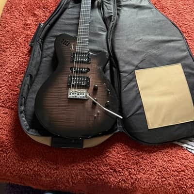 Godin xtSA 2010s - Trans Black image 12
